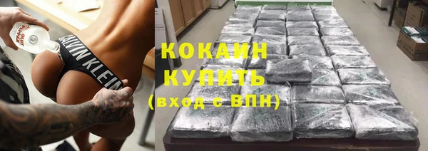 дживик Елабуга