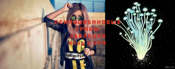 дживик Елабуга