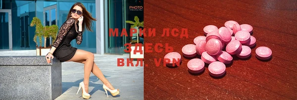 дживик Елабуга