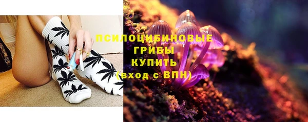 скорость Пестово