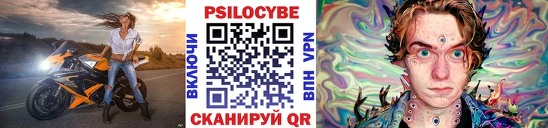 кракен как войти  цены   Пролетарск  Галлюциногенные грибы мицелий 